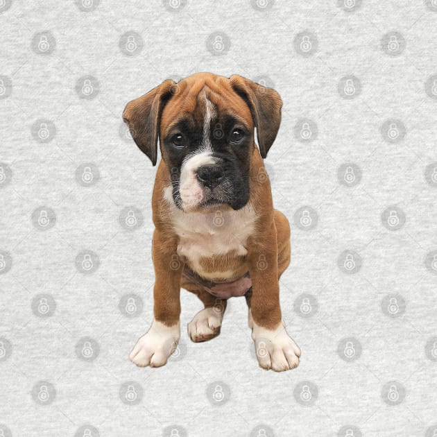 Boxer Cute Puppy Dog by ElegantCat